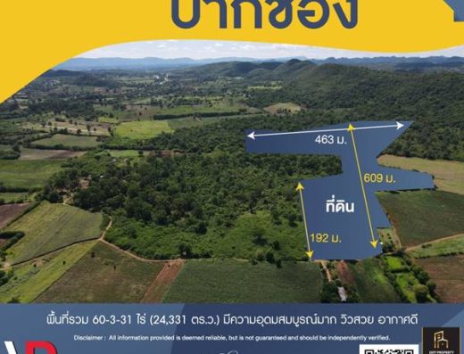 ขายที่ดิน ปากช่อง ขนาดใหญ่ 60-3-31 ไร่ มีความอุดมสมบูรณ์มาก วิวสวย อากาศดี